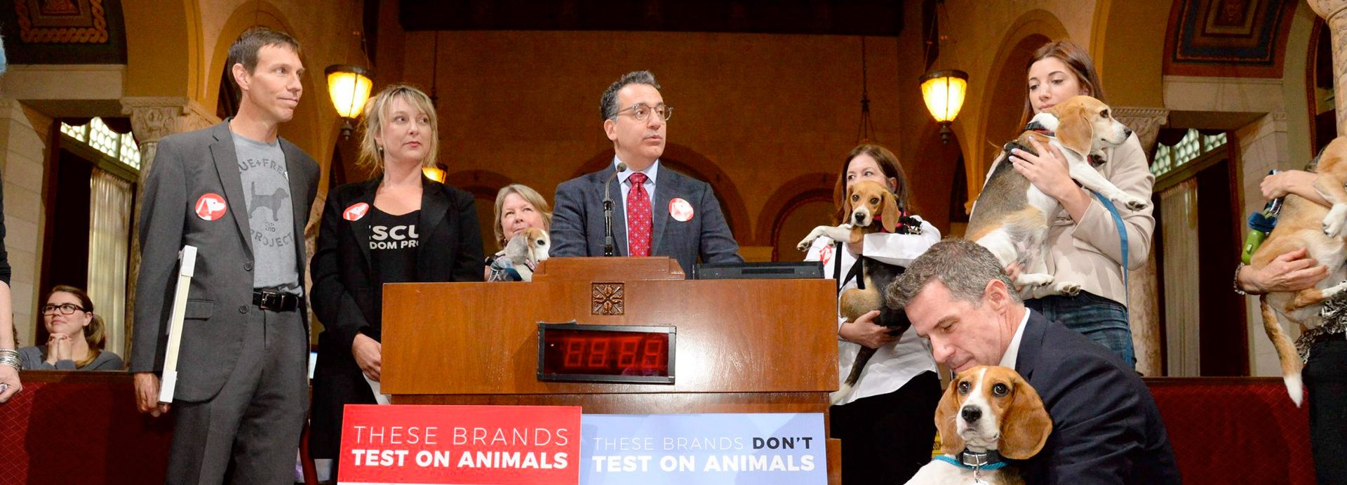 Motion Proposes LA Government Only Uses Cruelty-Free Products