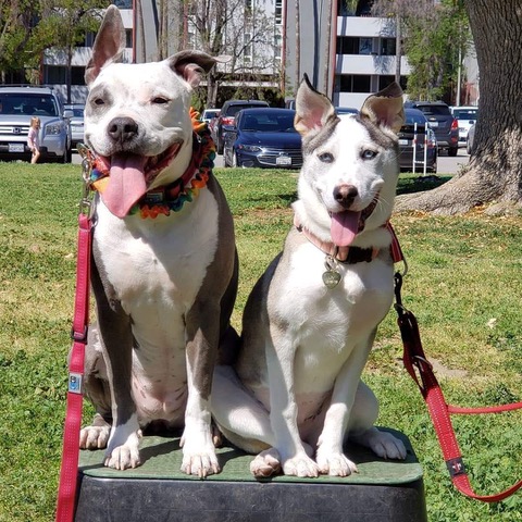 Lily sitting with a friend