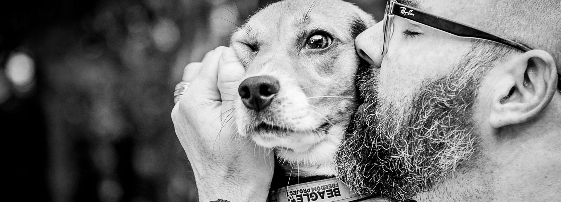 Share Your Pet's Story & Help Animals in Need