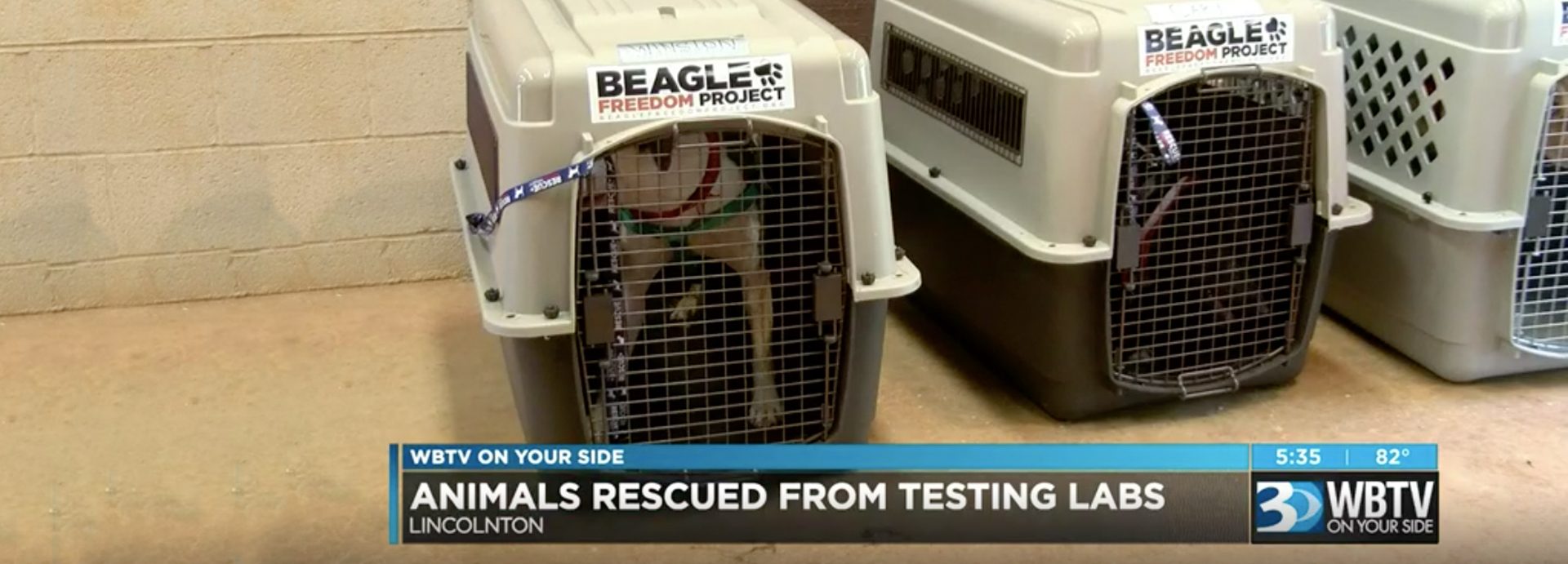 Laboratory animals from Mexico getting fresh start in NC
