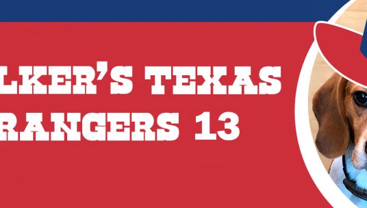 Walker's Texas Rangers 13
