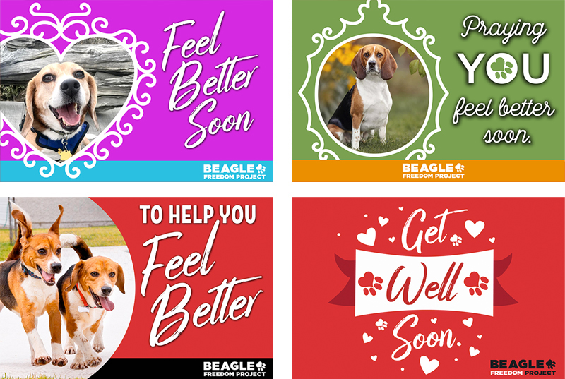 BFP Cards - Get Well