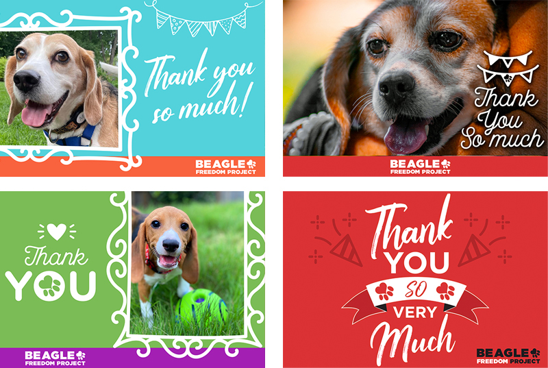 BFP Cards - Thank you