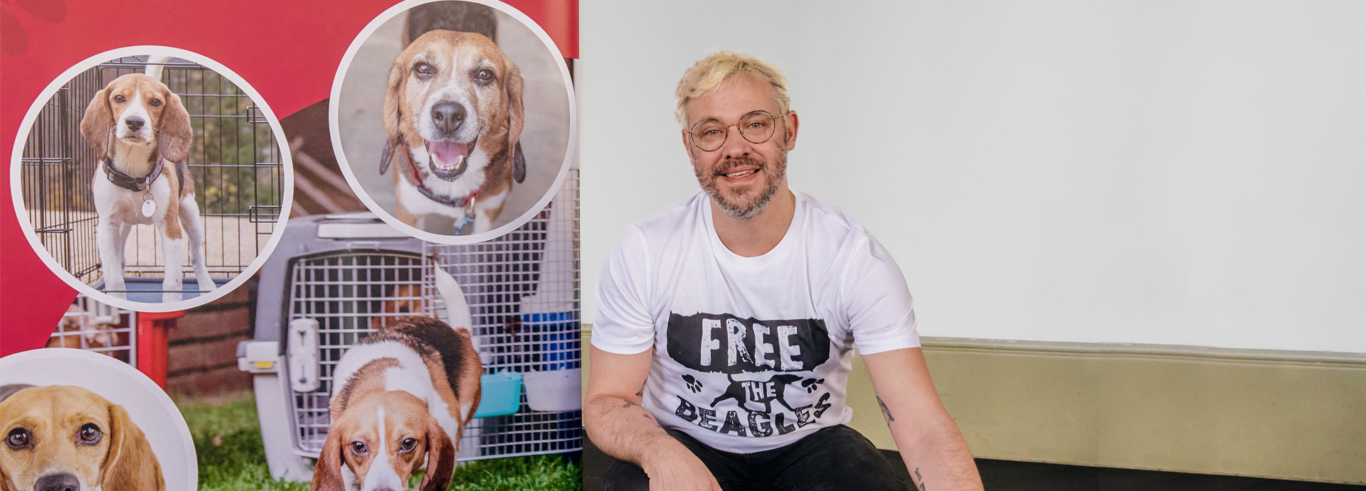 Pop star Will Young calls on MBR Acres to allow rehoming of dogs